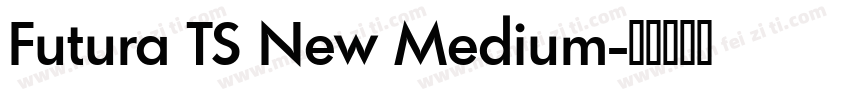Futura TS New Medium字体转换